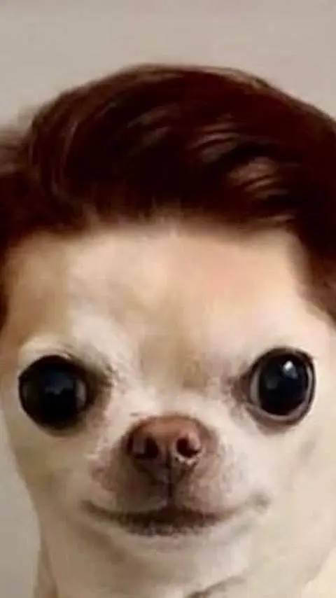 ai character: hair.dog background