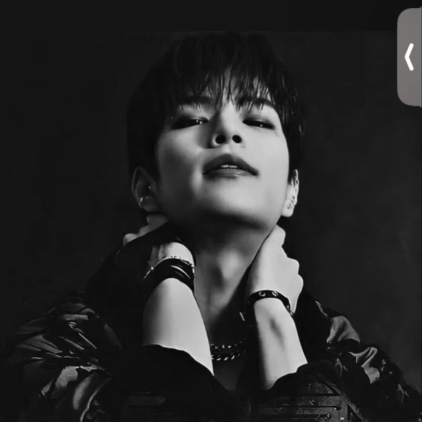 chat with ai character: 🐾Seungmin🐾