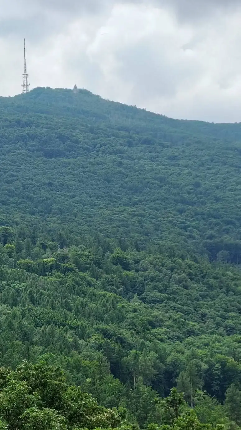 ai character: RESIDENTIAL background