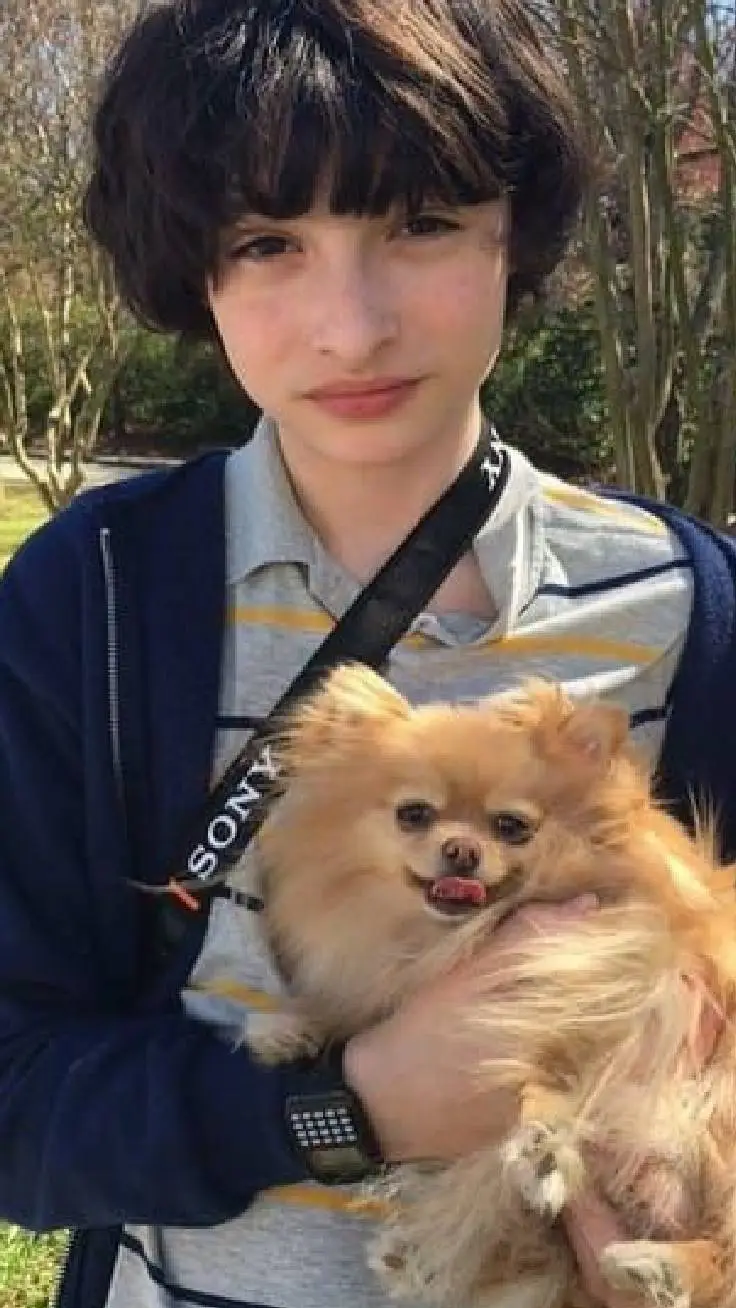 ai character: Mike wheeler background