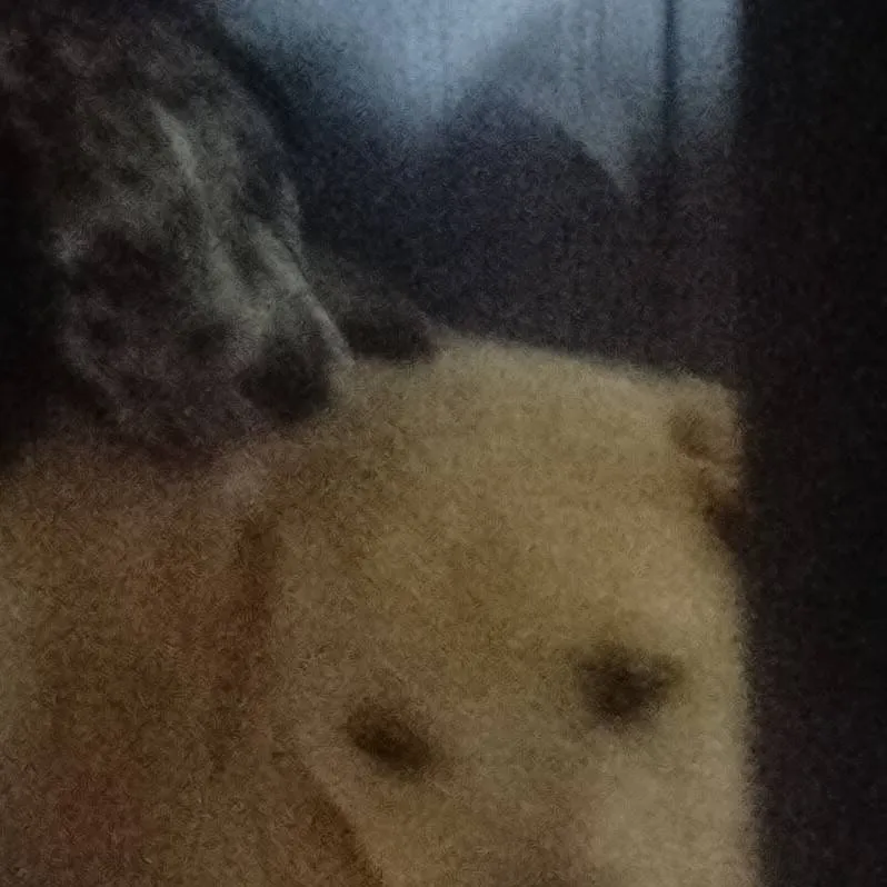 chat with ai character: Biscuit is 8 weeks