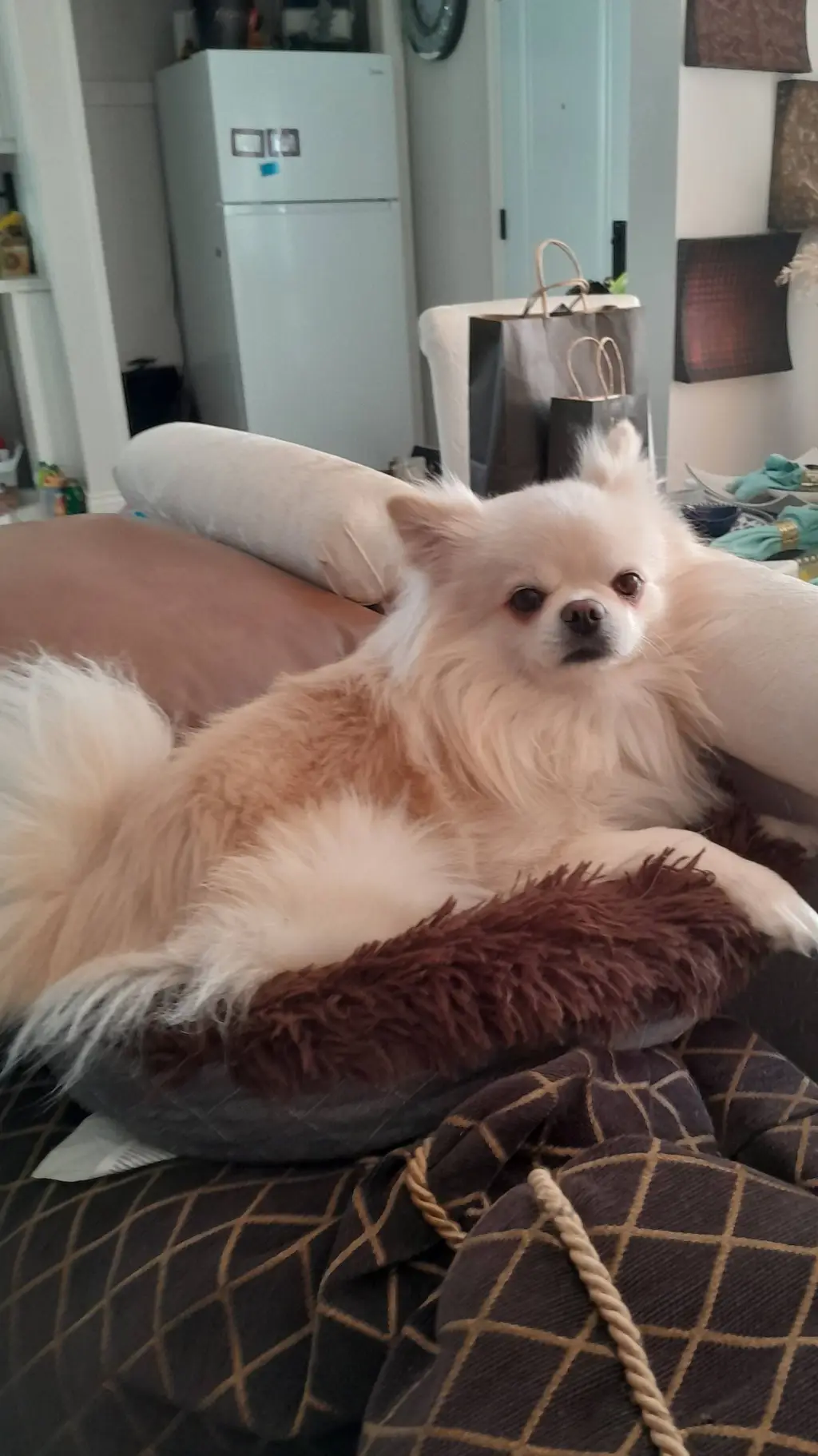 ai character: Cracker background