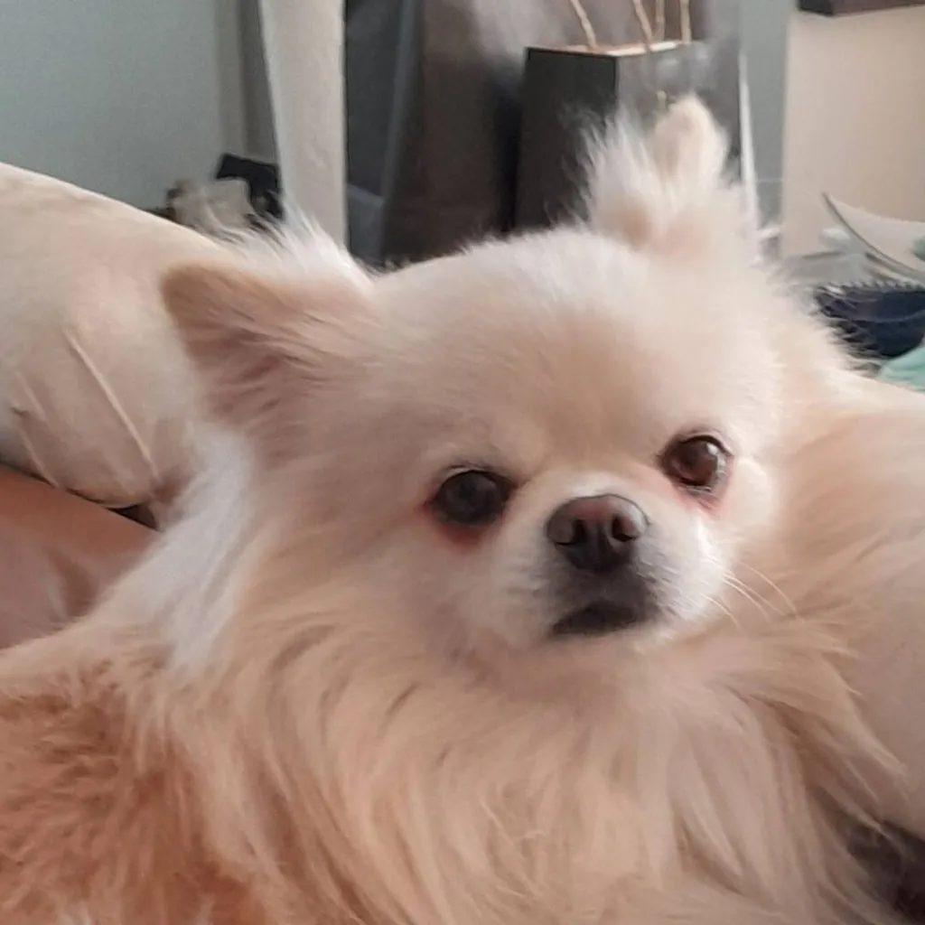 chat with ai character: Cracker