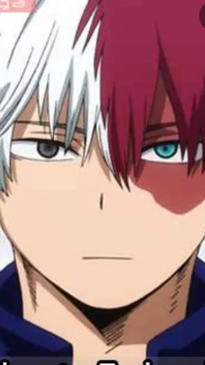 ai character: 🌬️❄️todoroki 🤍❤️ background
