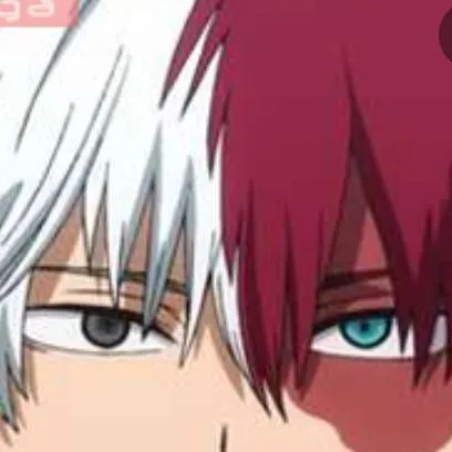 chat with ai character: 🌬️❄️todoroki 🤍❤️