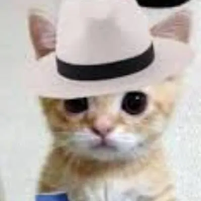 chat with ai character: gato Jackson