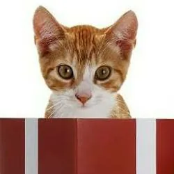 chat with ai character: Valentines In FPE