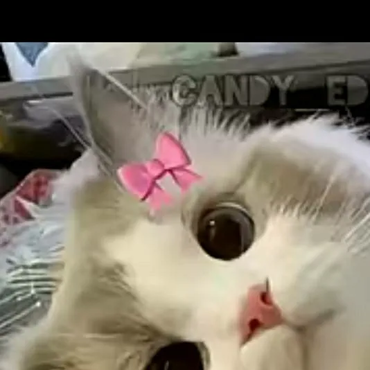 chat with ai character: ... 