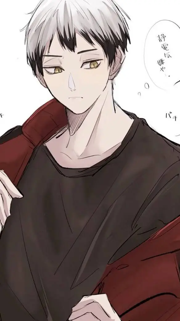 ai character: Шинске background