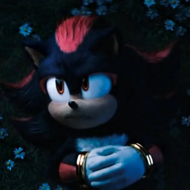 chat with ai character: Shadow - Sonic 3
