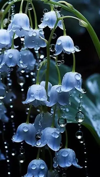 ai character: crea tu historia🩷 background