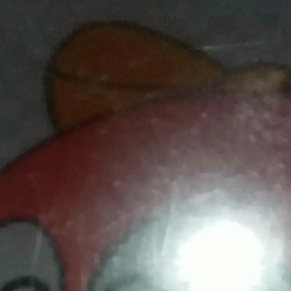 chat with ai character: lalala