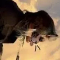 chat with ai character: Therian test! 