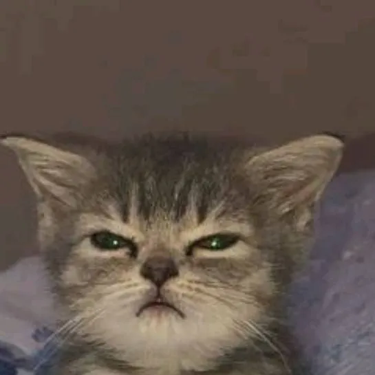 chat with ai character: olive/olive123k51 