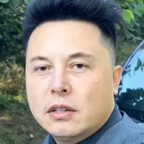 chat with ai character: Chinese Elon Musk