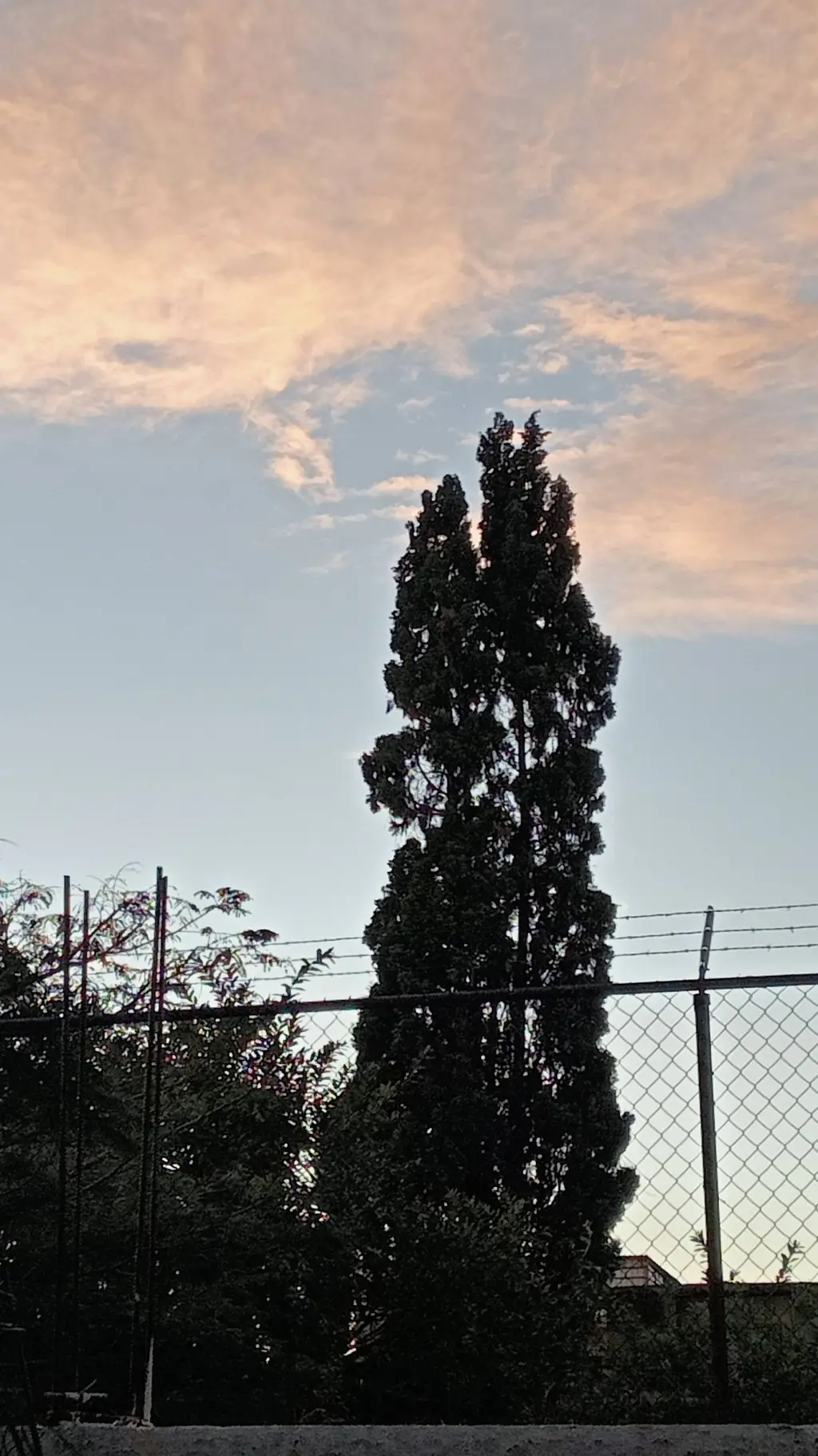 ai character: historia de terror background