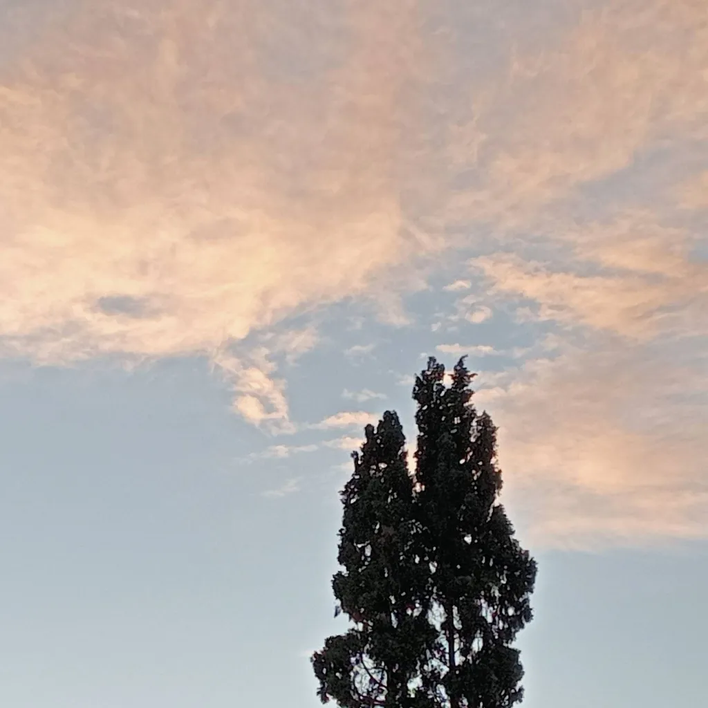 chat with ai character: historia de terror