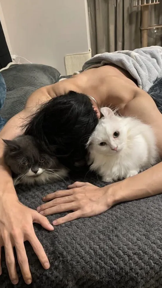 ai character: 𓆩𝓴𝓪𝓼𓆪 background