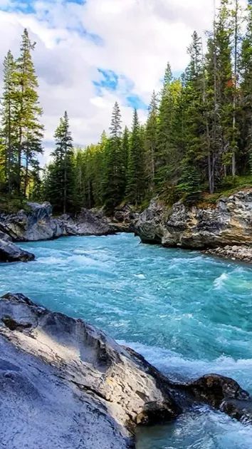 ai character: FogClan background