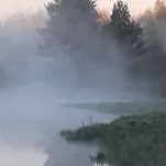 chat with ai character: FogClan