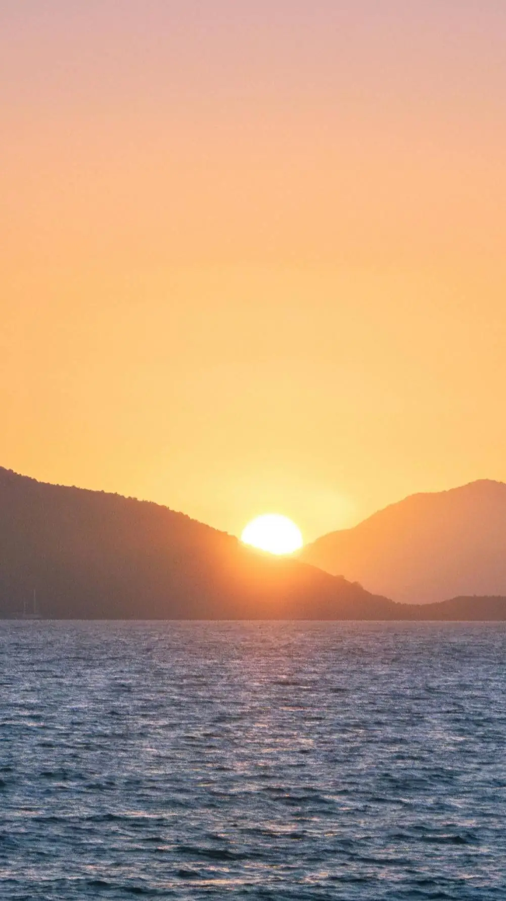 ai character: LOV Adopt background