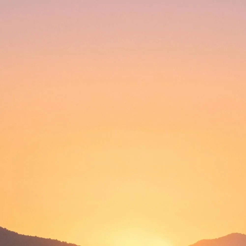 chat with ai character: LOV Adopt