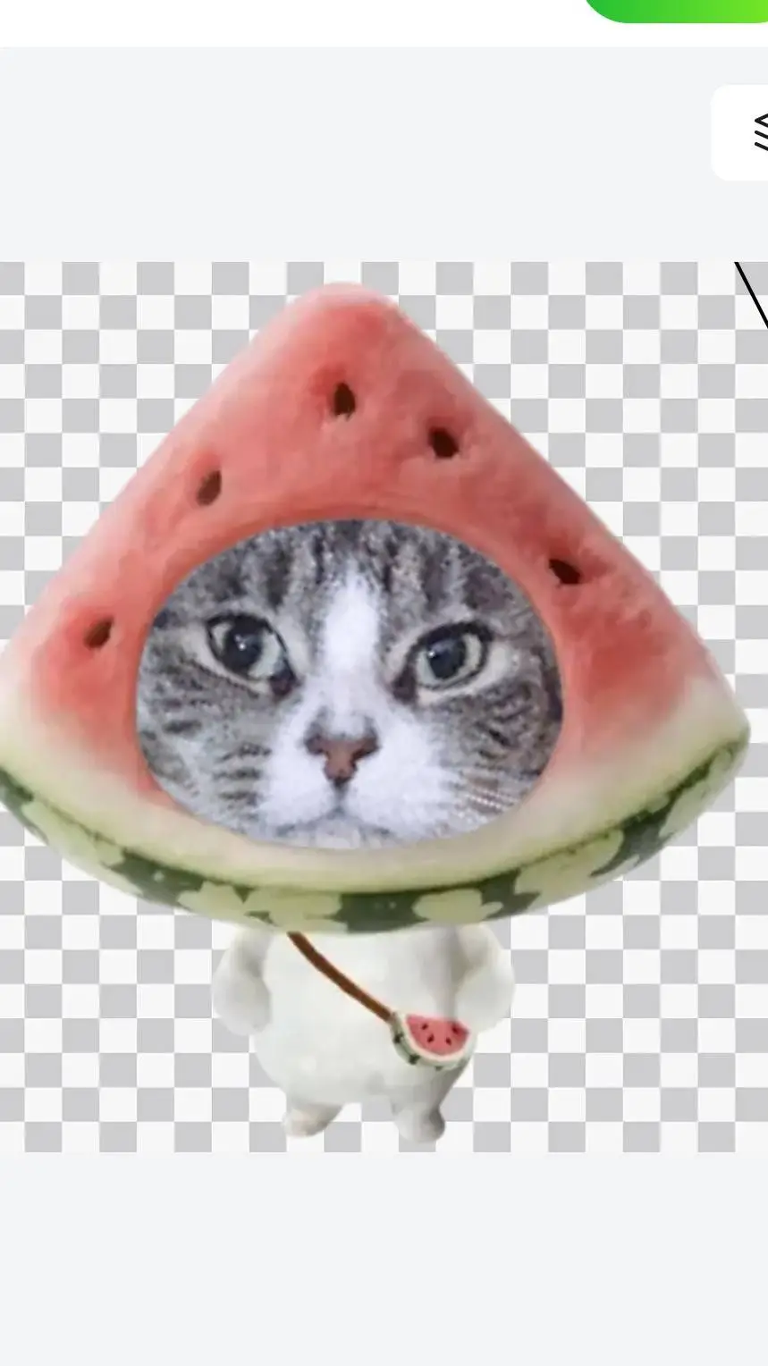 ai character: watermelon cat background