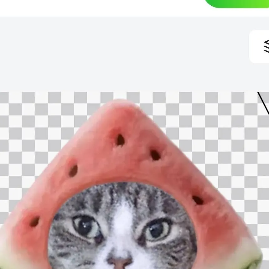 chat with ai character: watermelon cat