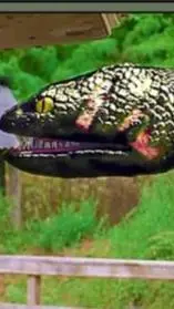 Talkie AI - Chat with anaconda3