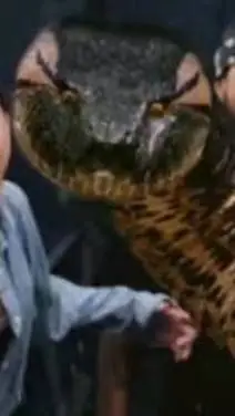 Talkie AI - Chat with anaconda 