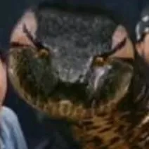 chat with ai character: anaconda 