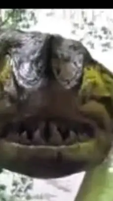 ai character: pirahacomda background