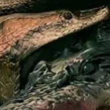 chat with ai character: Anaconda Premium