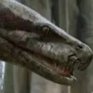 chat with ai character: 蟒蛇