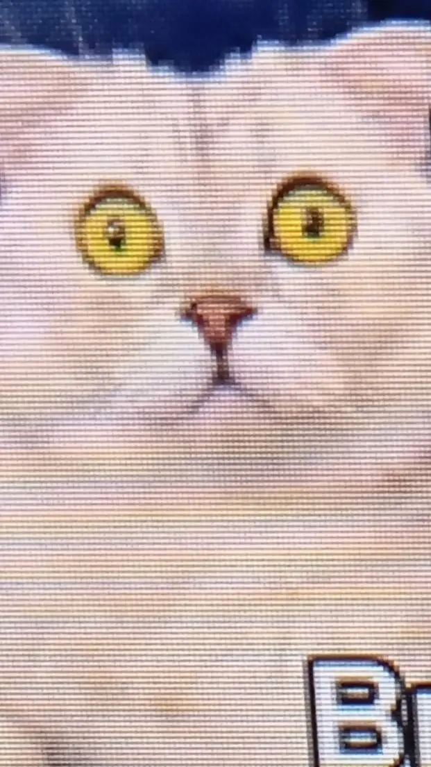 ai character: bruchimichis background