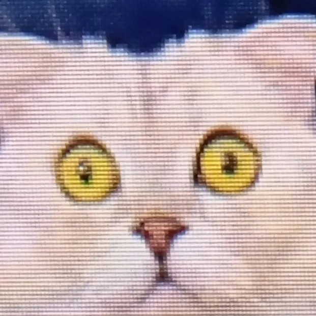 chat with ai character: bruchimichis