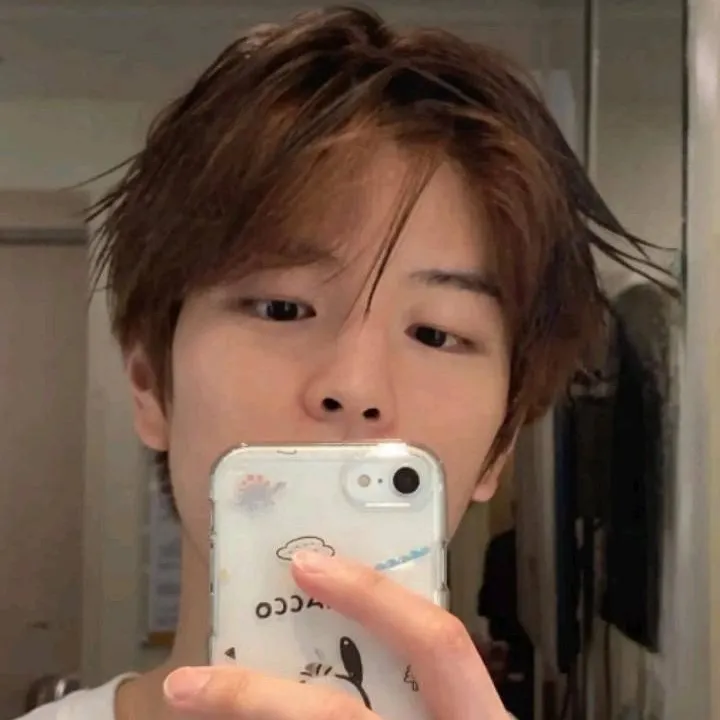 chat with ai character: Seungmin 