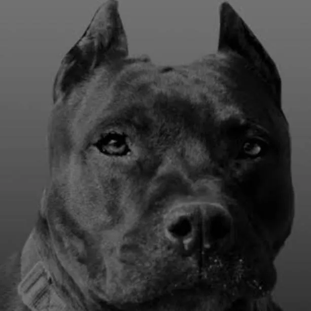 chat with ai character: Buck