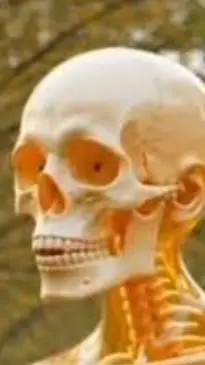 ai character: huesudo  background