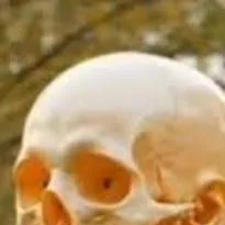 chat with ai character: huesudo 