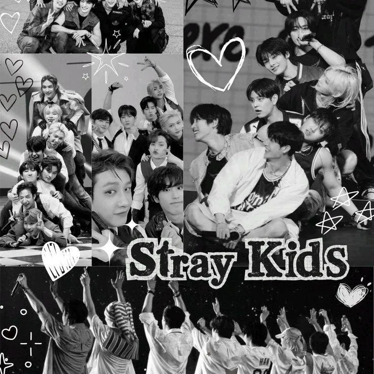 chat with ai character: stray kids