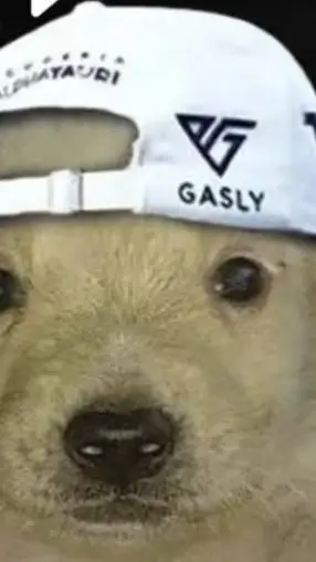 ai character: Alan mau background