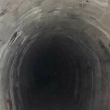 chat with ai character: DwSchoolAu-pt99999