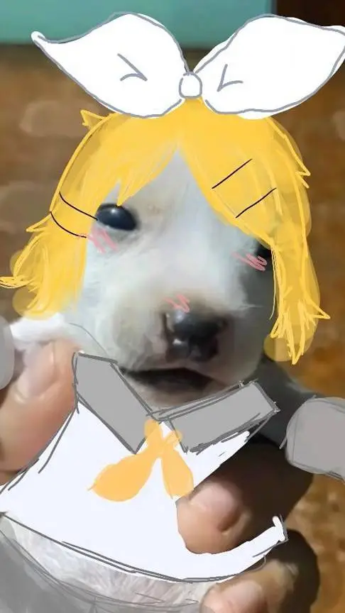 ai character: Cuida background