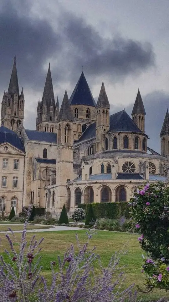 Talkie AI - Chat with Woodswill High