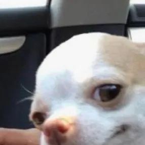 chat with ai character: Кента