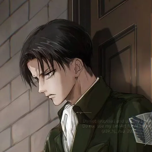chat with ai character: Levi Ackerman 