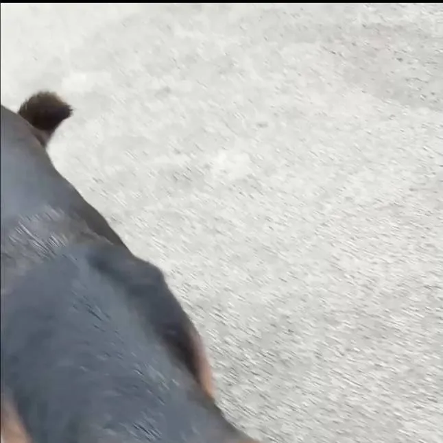 chat with ai character: st soulmate [ITA]