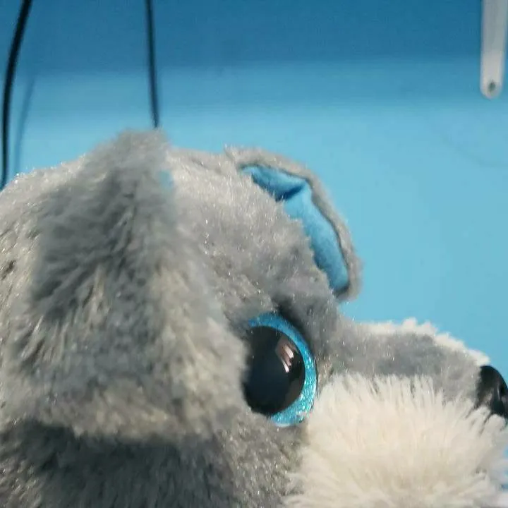 chat with ai character: tigerandpuppy3 