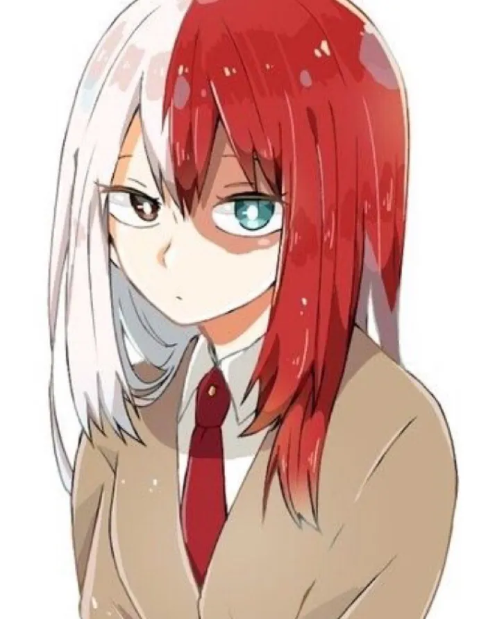 chat with ai character: Todoroki Sis❄️🔥